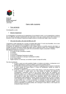 Scheda studente esperienza cromatografia