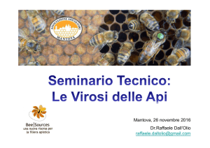 Virus Mantova_2016 - Apicoltori Mantova
