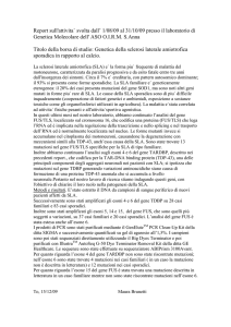 Report sull`attività svolta dal 01/08/09 al 31/10/09