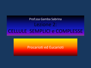 cellule procariote - "Giovanni Penna"