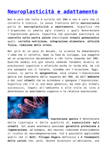 Neuroplasticità e adattamento