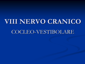 Nervo Faciale e Stato