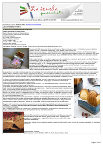 Stampa articolo - La scuola possibile