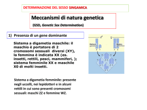 Meccanismi di natura genetica