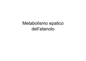 19-Metabolismo epatico dell`etanolo