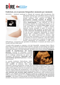 Embrioni, ora si possono fotografare momento per