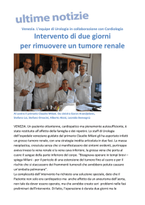 Fare click qui per leggere l`articolo in PDF