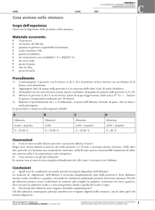2-d4_cosa_avviene_nello_stomaco