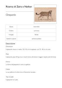 Ricerca di Zaira e Nathan Ghepardo