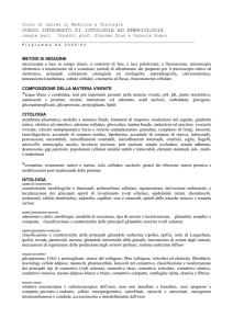 Programma del corso AA 2003/04