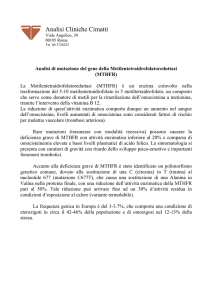 La mutazione per il gene MTHFR - Analisi Cliniche Cimatti Roma