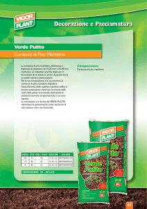 Verde Pulito