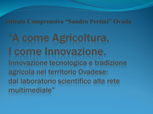 Saggi alla fiamma
