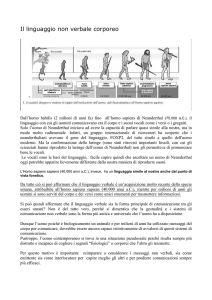 - Graziella FUMAGALLI