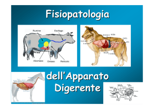 Fisiopatologia App. Digerente