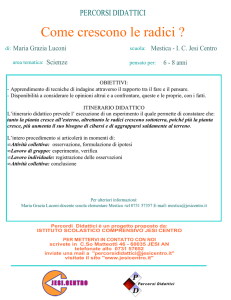 Come crescono le radici
