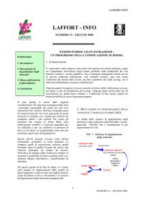 enzimi purificati in estrazione