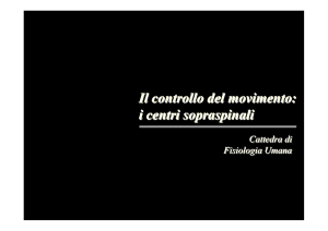 Il controllo del movimento: i centri sopraspinali Il controllo del