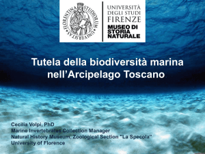 Presentazione di PowerPoint - Corso di Laurea Triennale in Scienze