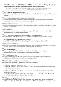TEST di autovalutazione 1 - Digilander