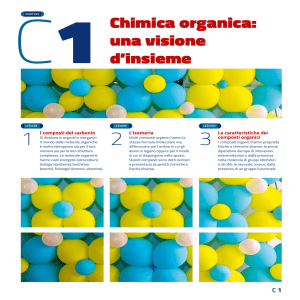 Chimica organica: una visione dÕinsieme