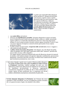 POLLINI ALLERGENICI Le piante sono responsabili delle allergie