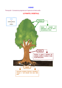 le piante (i vegetali)
