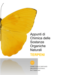 - Chimica delle Sostanze Organiche Naturali 2016 prof