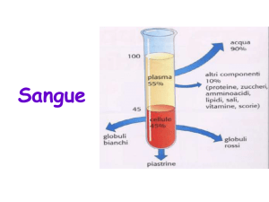 Sangue - mcquadro