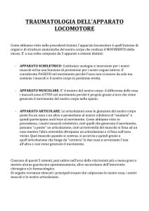 Traumatologia dell`Apparato Locomotore