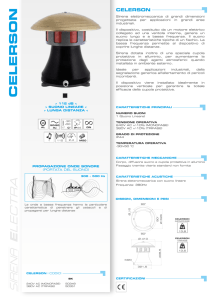 celerson_ita