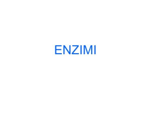 ENZIMI