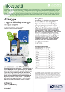 Scheda Tecnica Drenaggio
