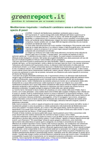 Mediterr specie d raneo inq di pesci quinato: i mollusc chi camb