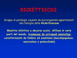 Diapositiva 1 - Progetto e
