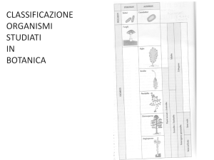 Diapositiva 1 - Filtrexx – Italia