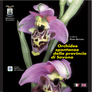 Testo - Provincia di Savona