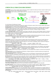 i principali processi biochimici