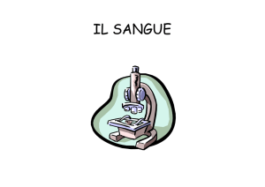 IL SANGUE