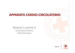 APPARATO CARDIO