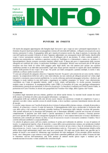 PUNTURE DI INSETTI