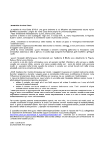 La malattia da virus Ebola 0914
