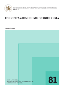 esercitazioni di microbiologia
