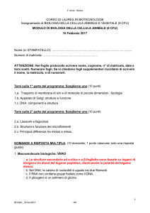 esto prova BCAn del 16 Febbraio 2017 con risposta quiz