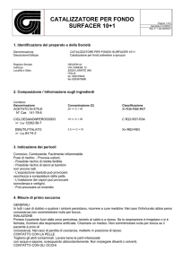 catalizzatore per fondo surfacer 10+1