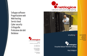 Sviluppo software Progettazione web Web hosting