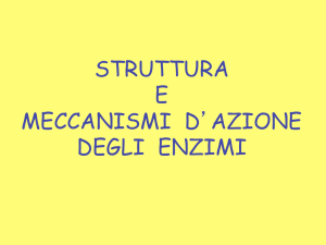 struttura e meccanismi d`azione degli enzimi - e
