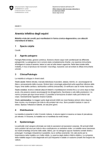 Anemia infettiva degli equini