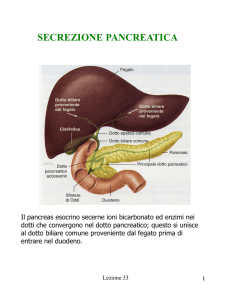 Presentazione di PowerPoint