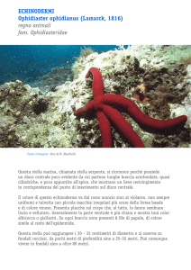 scarica la scheda